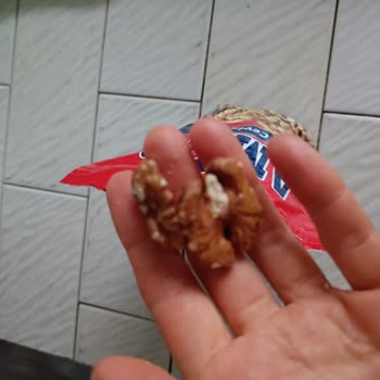 Amigo İç Cevizde Küflü Koku Ve Sağlık Riski