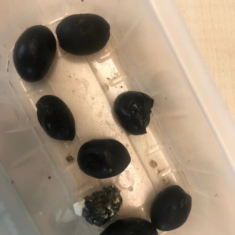 Hastane Kahvaltı Kalitesi Şikayeti