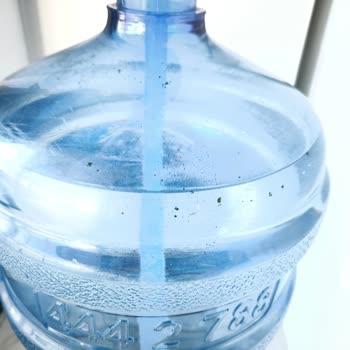 Kütahya'da Türkmen Su Damacanasında Yeşil Yosun Görüldü Sağlık Riski