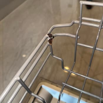 Bulaşık Makinesindeki Sepetler Paslandı Ve Sağlığımızı Tehdit Ediyor