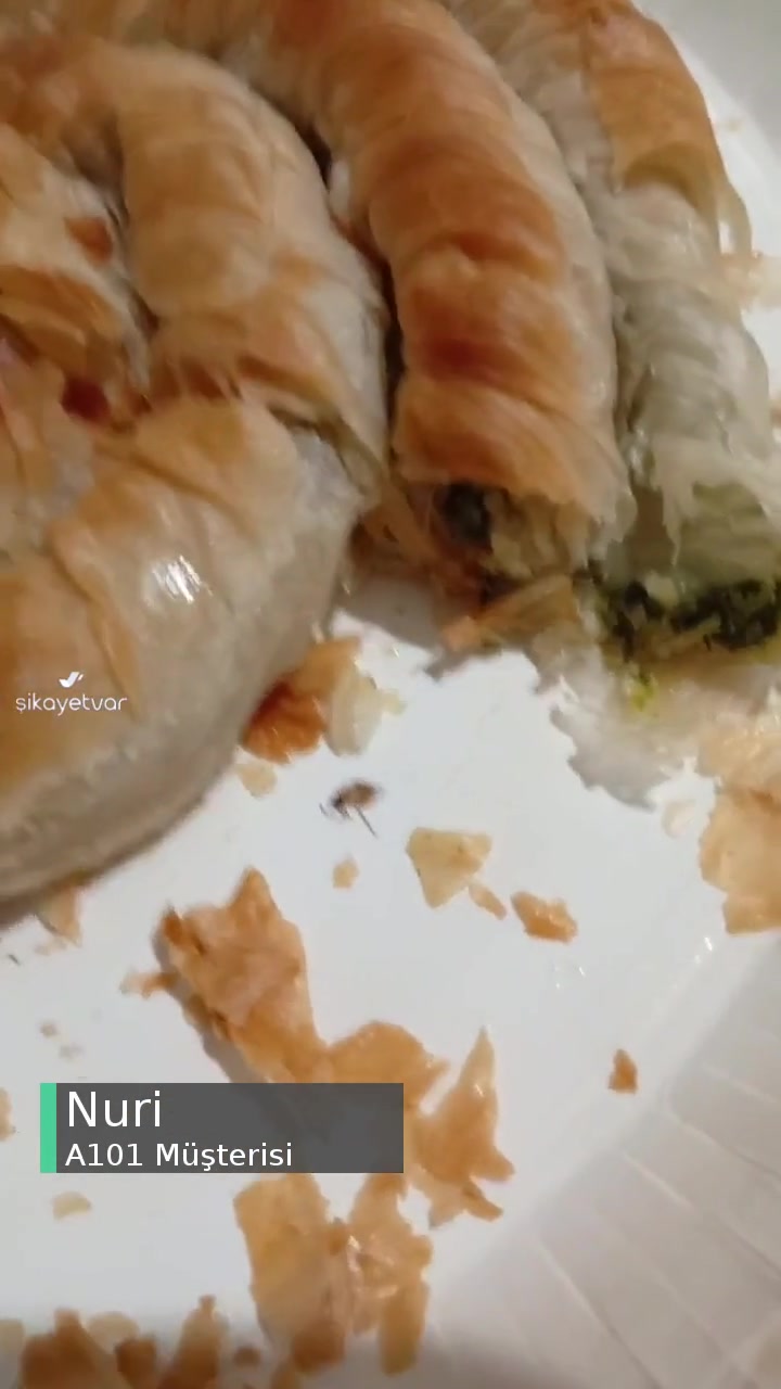 A101 Ispanaklı Nimet Börekten Böcek Çıktı! videonun kapak resmi