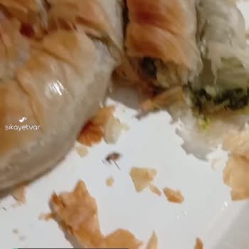 A101 Ispanaklı Nimet Börekten Böcek Çıktı!