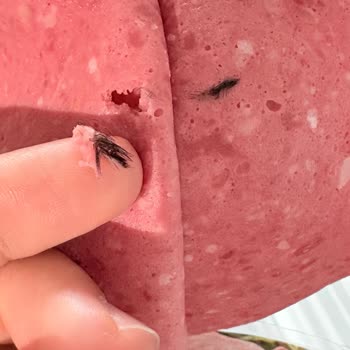 Namet Kıllı Dana Macar Salam