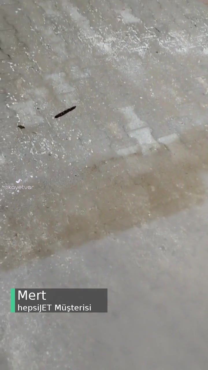 Hepsijet Şubede Çalışan Yok, Muhatap Yok! videonun kapak resmi