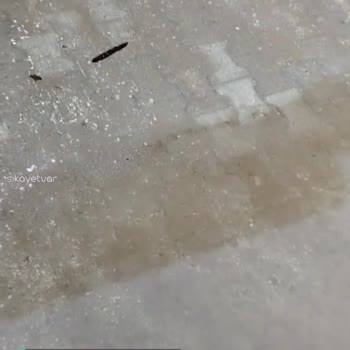 Hepsijet Şubede Çalışan Yok, Muhatap Yok!