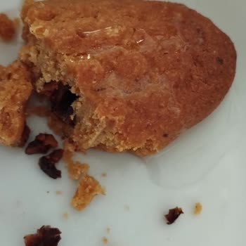 Bosch Seri 4 Ankastre Fırının Yanma Ve Geç Pişirme Sorunu