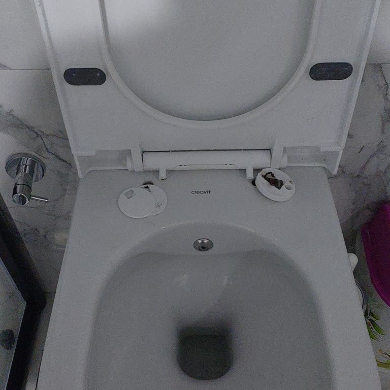 Creavit Klozet Kapağı Kırıldı!