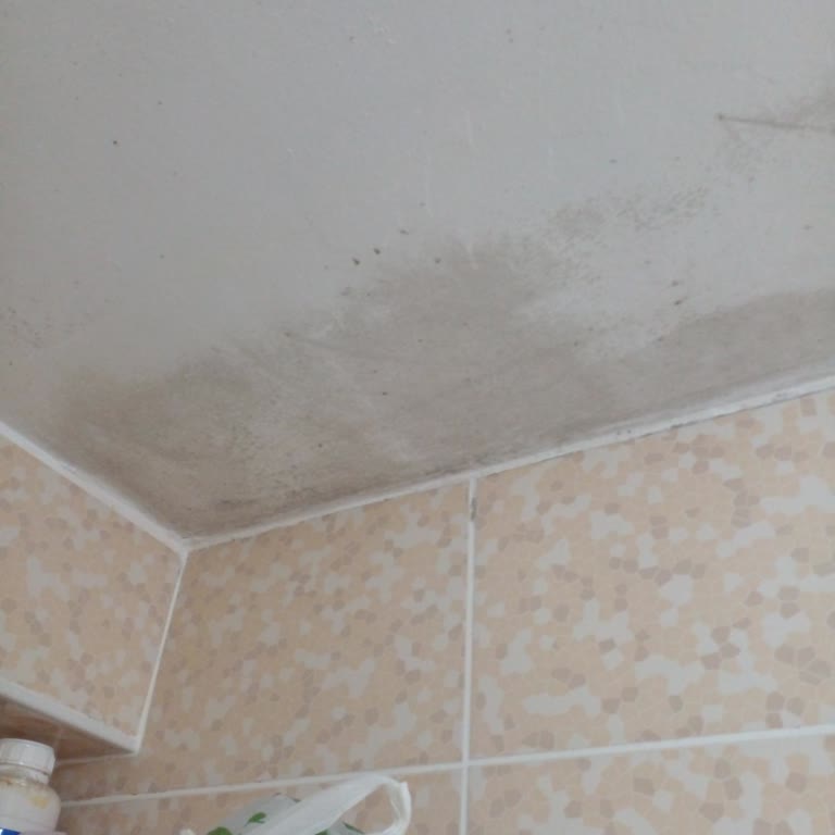 İsonem Likit Glas Su Yalıtım Boyası Kışta Çökmüş Ve Rutubet Sorununu Artırdı