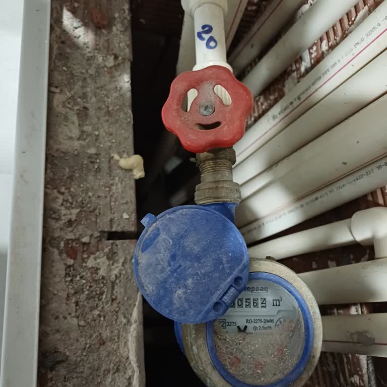 Su Sayacı Okuma Hatası Nedeniyle Fatura Düzeltme İsteği