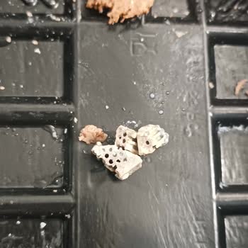 BİM Dönerinde Taş Parçaları Çıktı Ve Sağlık Riski Oluştu