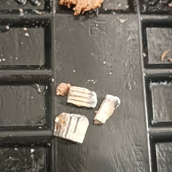 BİM Dönerinde Taş Parçaları Çıktı Ve Sağlık Riski Oluştu