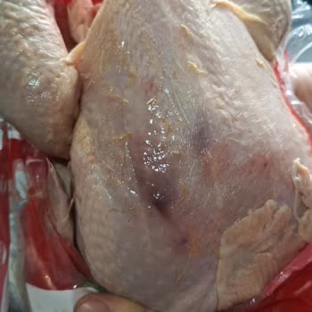 Mardin Mazıdağı A101 Şubesinde Bozuk Tavuk Ürünleri Ve Tekrarlayan Mağduriyet