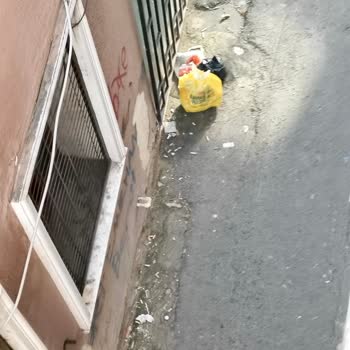 Fatih Belediyesi Yedikule Mahallesinde Çöp Ve Halı Saha Gürültüsü İle Mücadele Talebi