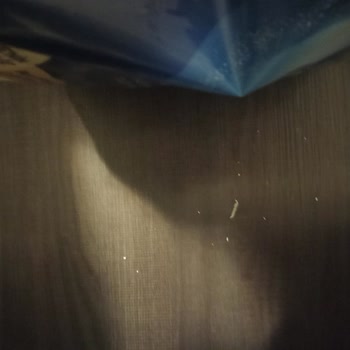 Selpak Tuvalet Kağıdındaki Kalite Sorunu Ve Değişim Talebi