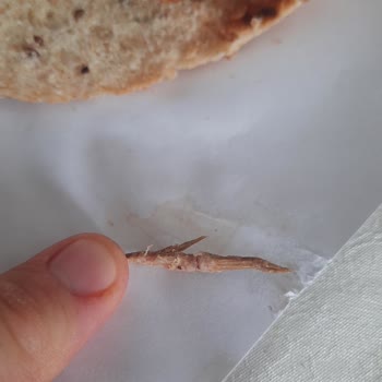 UNO 2 Kat Tahıllı Tava Ekmeği'nde Odun Parçası Buldum