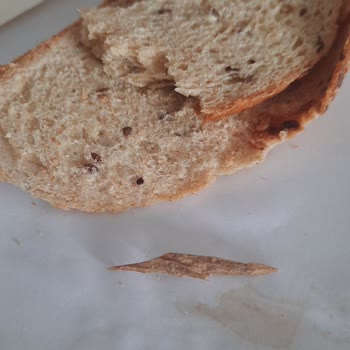 UNO 2 Kat Tahıllı Tava Ekmeği'nde Odun Parçası Buldum