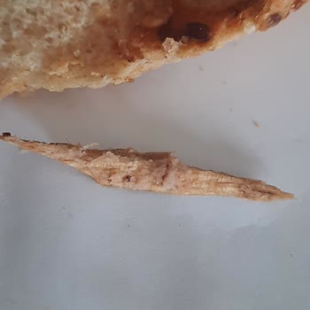 UNO 2 Kat Tahıllı Tava Ekmeği'nde Odun Parçası Buldum