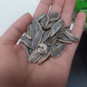 Salyangozlu Çekirdek Satın Alımında Hijyen Ve Güven Sorunu