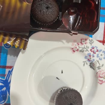 Eti Browni Gold Ürünün İçinde Plastik Parçalar Bulundu