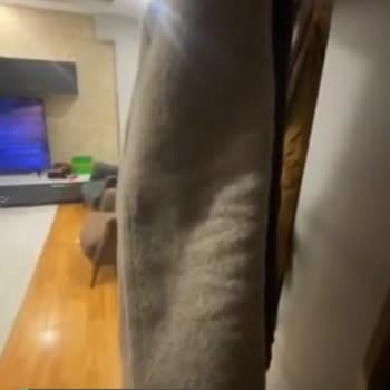 Pierre Cardin Giyim Markası Böyle Olmamalı