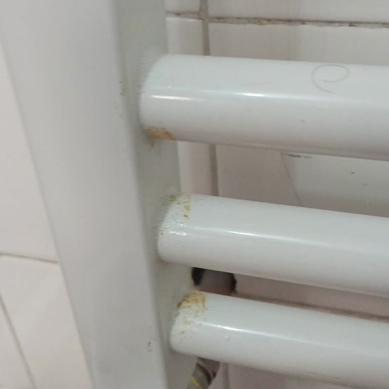 Eksik Menfez Kapağı, Sayaç Kutusu Ve Paslı Havlupan İçin Acil Düzeltme Talebi