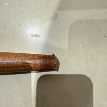 Eskidji Bazaar Ensa Home Şikayeti