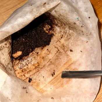 Kahvede Böcek Tespiti Ve Gıda Güvenliği Endişesi