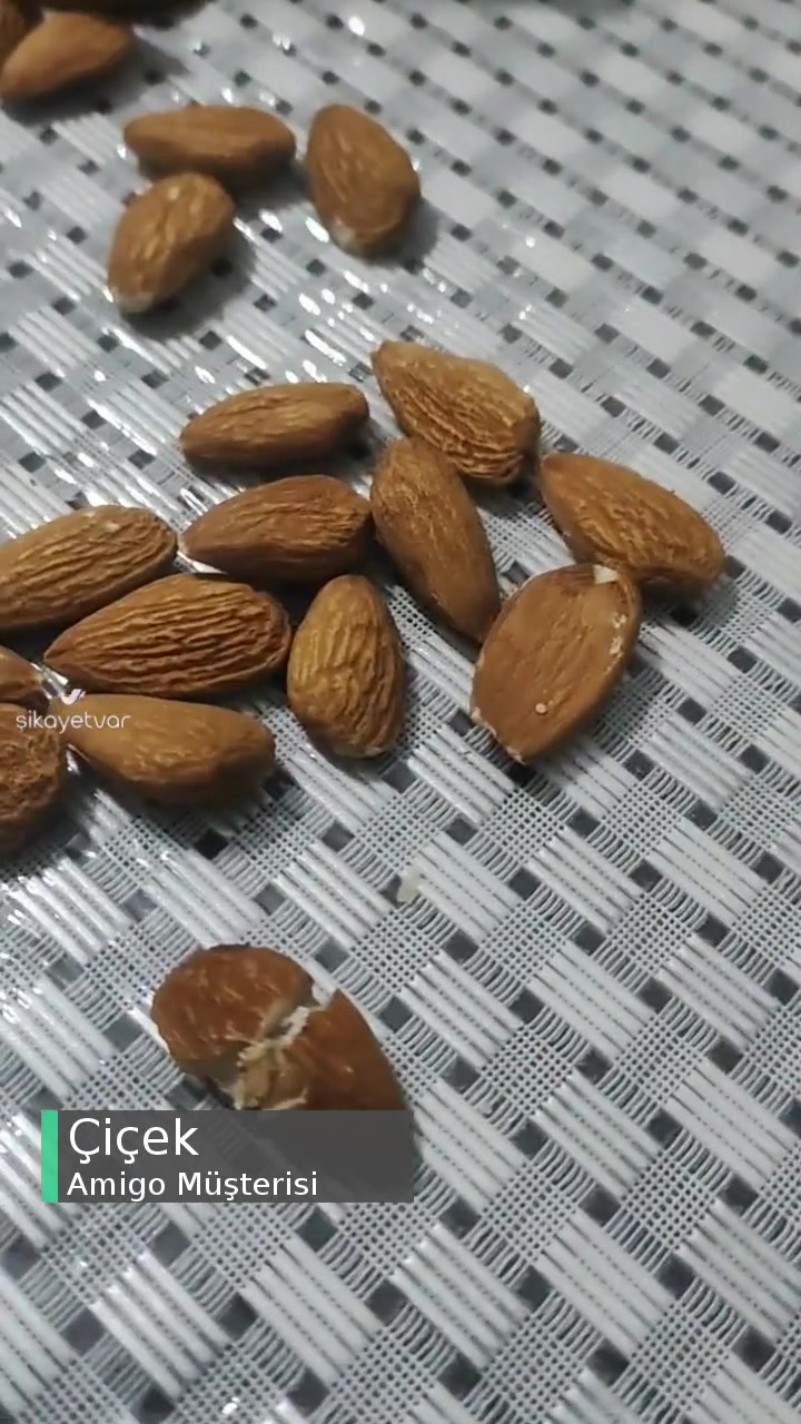 Amigo Çiğ, Kurtlanmış Badem Sorunu! videonun kapak resmi