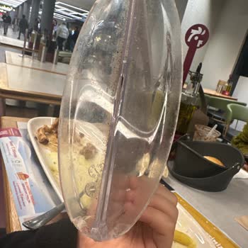 Soğuk Ve Çiğ Tavuk, İlgisiz Personel Ve Hijyen Eksikliği