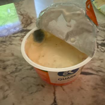 Son Kullanma Tarihi Henüz Gelmemiş Yoğurtta Küf Görülmesi Ve Değişim Talebi