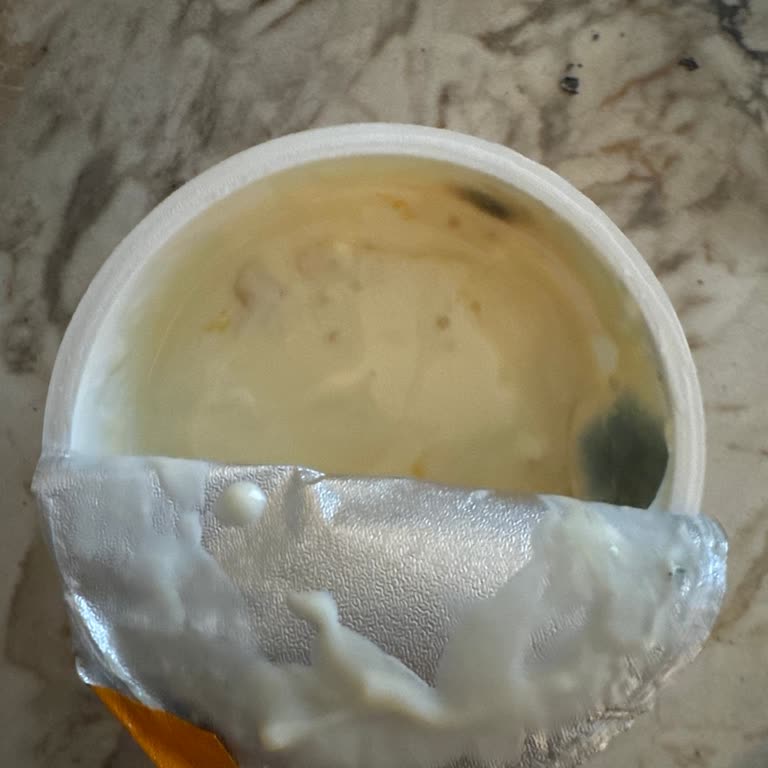 Kapalı Kutuda Küf: Sek Quark Kayısı Kinoa Ürünü Hijyen Sorunu