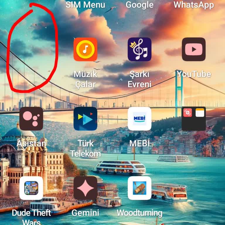 Reeder S71'de Uygulama Silinmesi Ve Yer Değiştirme Sorunları