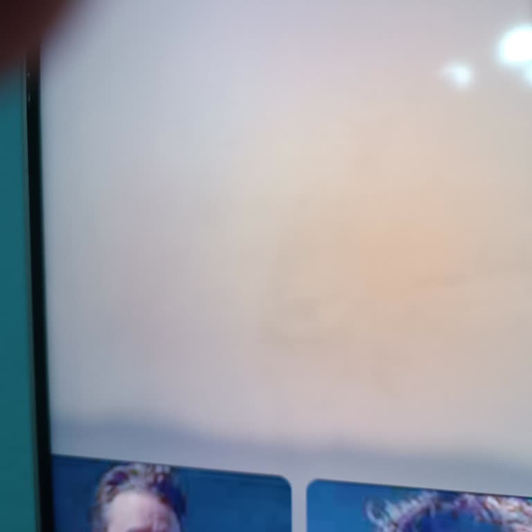 Panel Arızası Ve Değişen Panelde Lekeler İçin Kalıcı Çözüm Talebi