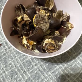 Migros’tan Bozulmuş Kestane İçin Ücret İadesi Ve Değişim Talebi