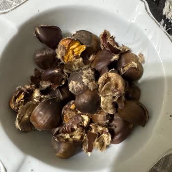 Migros’tan Bozulmuş Kestane İçin Ücret İadesi Ve Değişim Talebi