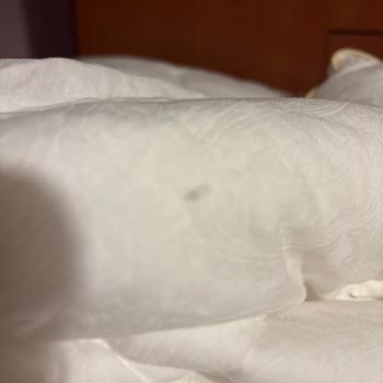 İlk Yıkamada Elyaf Saçılan Imperial Lux Yorganı İçin İade Talebi