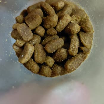 Hepsiburada Orijinal Olmayan Kedi Maması