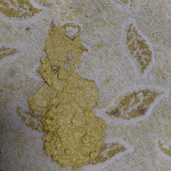 Hepsiburada Orijinal Olmayan Kedi Maması