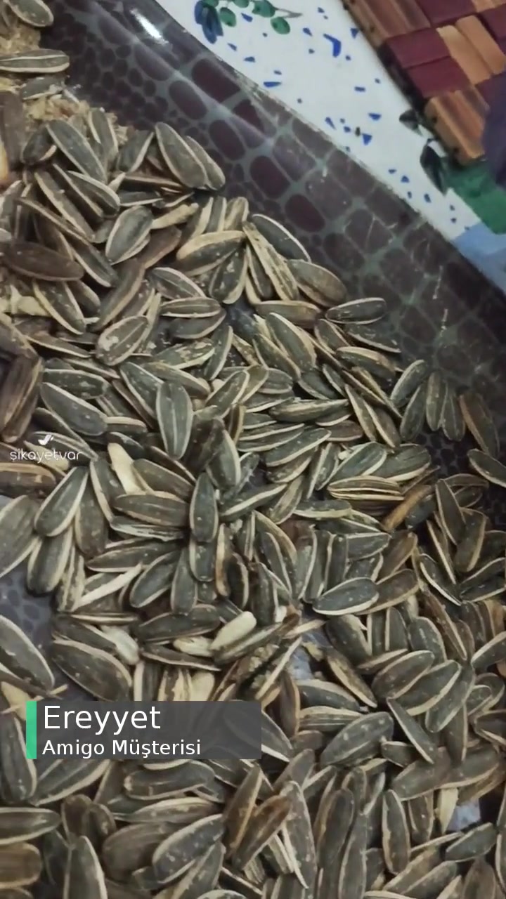 Amigo Ürün İçinden Kurt Çıkması videonun kapak resmi