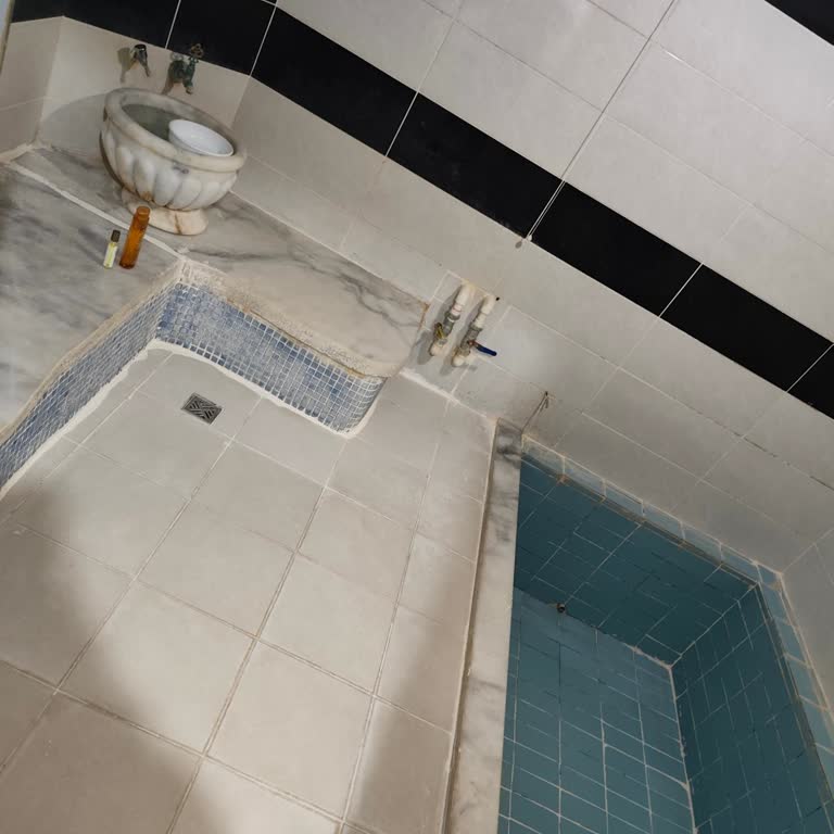 Temizlik Ve Hijyen Sorunları Nedeniyle Erken Çıkma Ve Telafi İstemi