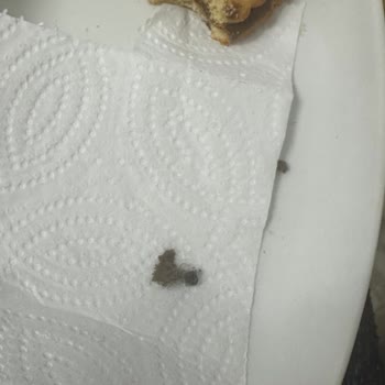 A101 Protein Bisküvi İçinde Böcek Benzeri Yabancı Madde