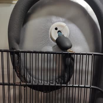 Altus Derin Dondurucu Kondenser Telinde Üretim Kaynaklı Delinme Ve Ücretsiz Onarım Talebi