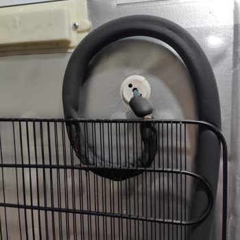 Altus Derin Dondurucu Kondenser Telinde Üretim Kaynaklı Delinme Ve Ücretsiz Onarım Talebi