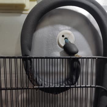 Altus Derin Dondurucu Kondenser Telinde Üretim Kaynaklı Delinme Ve Ücretsiz Onarım Talebi