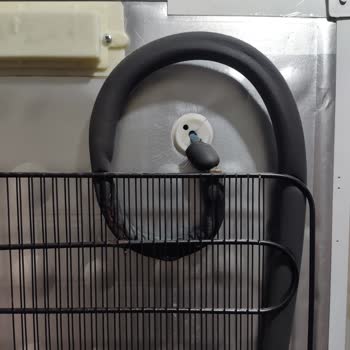 Altus Derin Dondurucu Kondenser Telinde Üretim Kaynaklı Delinme Ve Ücretsiz Onarım Talebi