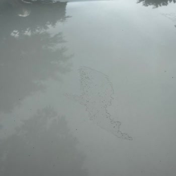 Ümran Oto Ekspertiz’in Eksik Raporu Nedeniyle Yaşadığım Büyük Maddi Ve Manevi Zarar