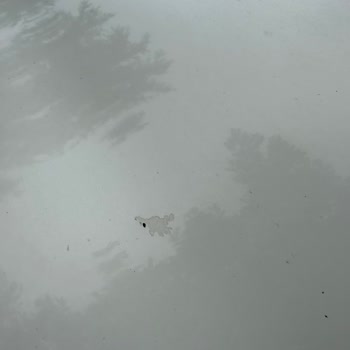 Ümran Oto Ekspertiz’in Eksik Raporu Nedeniyle Yaşadığım Büyük Maddi Ve Manevi Zarar