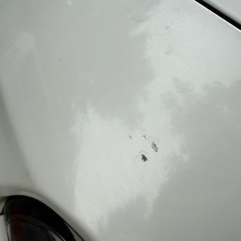 Ümran Oto Ekspertiz’in Eksik Raporu Nedeniyle Yaşadığım Büyük Maddi Ve Manevi Zarar