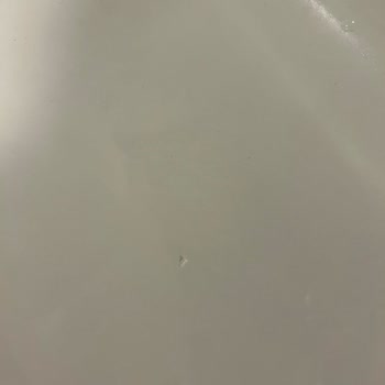 Seramiksan Lavabosunda Paslanma Ve Çatlak, Müşteri Desteği Erişilemez