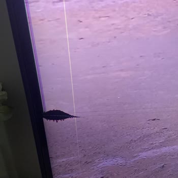 LG Televizyon Ekranı Kırıldı, Garanti Kapsamı Dışında Bırakıldı